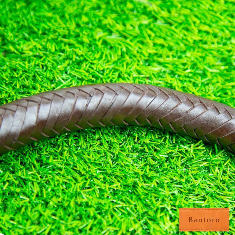 May include: Close-up of a brown leather braided strap. The strap is curved and appears to be made of interwoven strips of leather. The background is a bright green, artificial grass.