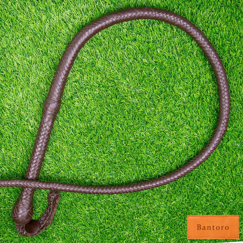 May include: A brown leather whip with a braided handle and loop, resting on a green surface. The whip is made of woven leather and has a knotted end. The word "Bantoro" is printed on a small orange rectangle.