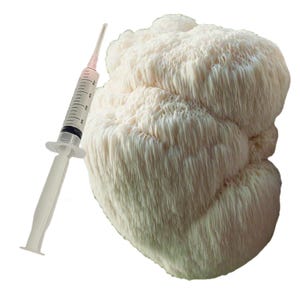 Peut inclure: Un champignon crinière de lion blanc et texturé avec une seringue. Le champignon a une apparence unique en cascade. La seringue est transparente avec un liquide rose à l'intérieur. Le fond est blanc uni.