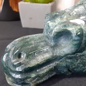 A Gorgeous Extra Large Green Moss Agate Crystal Dragon Head Skull - Encourages Tranquility & Emotional Balance-Crystal Store-Crystal Healing