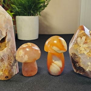 An Elegant 4-Piece Flower Agate Crystal Collection with Druzy - Helps You Release Stress & Anxiety - Healing Crystal - Crystal Store
