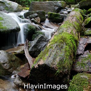 Grotto Falls in Smoky Mountains