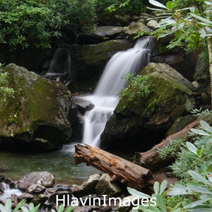 Grotto Falls in the Smoky Mountains