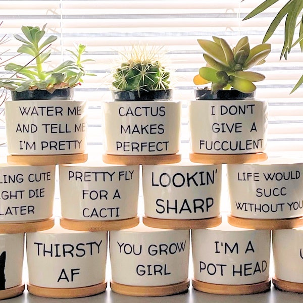 Vaso per piante grasse, vaso piccolo in ceramica con drenaggio, vaso piccolo per cactus con drenaggio, vaso piccolo in ceramica con sottovaso in bambù