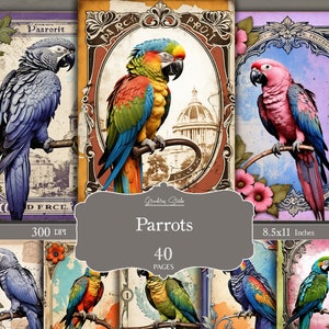 Junk Modelling Parrot Parrot Junk Journal, Antique Design, Vintage Collage Sheet, Printable ...