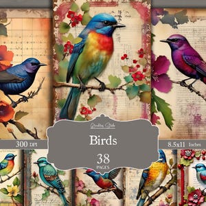 vintage Bird Junk Journal Pages, oiseaux éphémères, pages imprimables oiseaux, éphémères du printemps, oiseaux shabby chic, découpage, téléchargement numérique, ATC