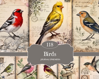 Bird Garden Junk Journal Pages, Spring Bird Ephemera, Printable Scrapbook Paper, Digital Collage, Nature Journal, Bird Papers