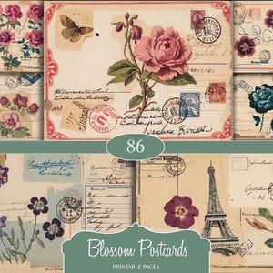 Puede incluir: Una colección de postales de estilo vintage con ilustraciones florales, sellos y escritura a mano. Las postales muestran rosas, pensamientos y otras flores en tonos rosa, morado y azul. El texto "Blossom Postcards" y el número "86" son visibles.