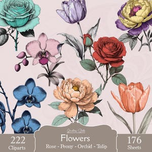 Bloemenclipart, hoogwaardige png-bestanden en -bladen voor printables en knutselwerkjes. Prachtige pioenrozen, rozen, tulpen en orchideeën. Commercieel gebruik