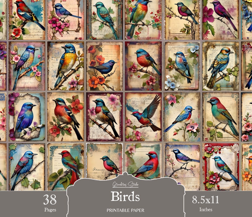 Vintage Bird Junk Journal Pages, Birds Ephemera, Birds Printable Pages ...