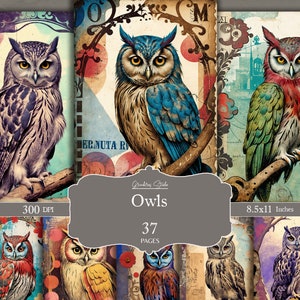 Vintage Owl Junk Journal Kit, Grunge Owl Journal Pages, Owl Junk Journal Printable Paper, Digital Collage Sheet, Instant Download