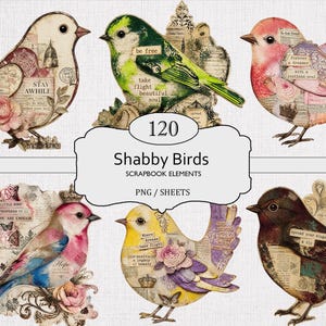 May include: A collection of 120 digital scrapbook elements featuring birds with mixed media collage designs, including floral patterns, vintage text, and stamps. The birds are rendered in various colors like green, pink, yellow, and brown.