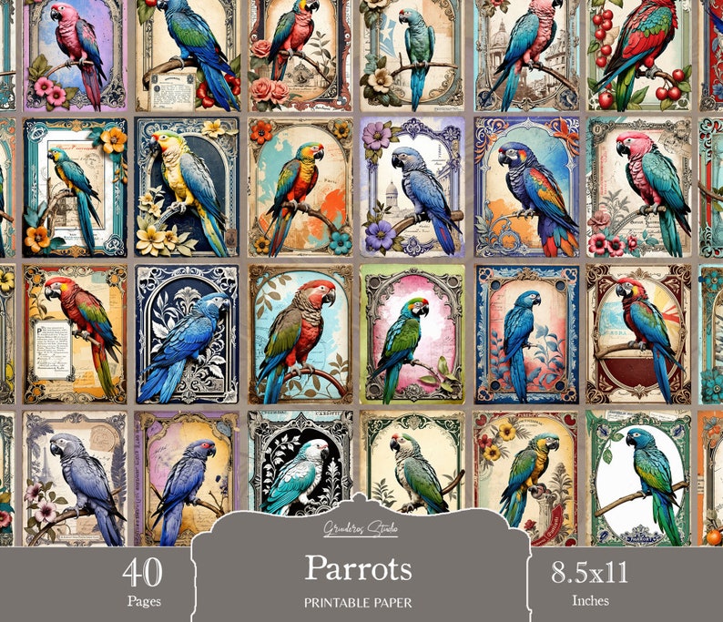 Junk Modelling Parrot Parrot Junk Journal, Antique Design, Vintage Collage Sheet, Printable ...