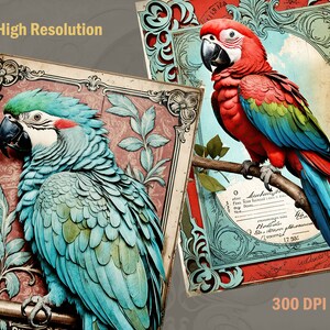 Junk Modelling Parrot Parrot Junk Journal, Antique Design, Vintage Collage Sheet, Printable ...