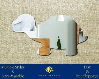 Decorative Turtle Shaped Acrylic Mirror | Many Shapes Available