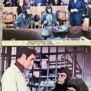 L-3 Escape from the planet of the apes 8 x 10 Stills