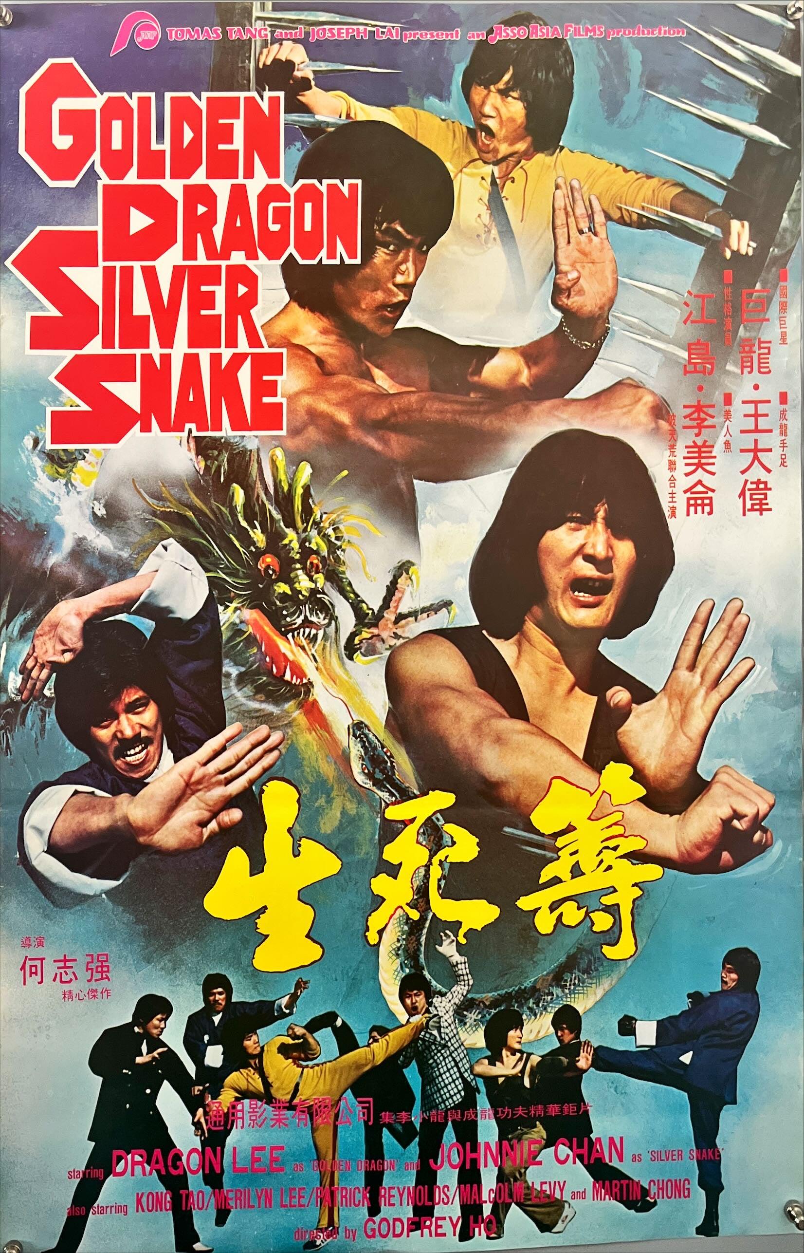 Cartel de la película china Dragón dorado Serpiente plateada (1979)