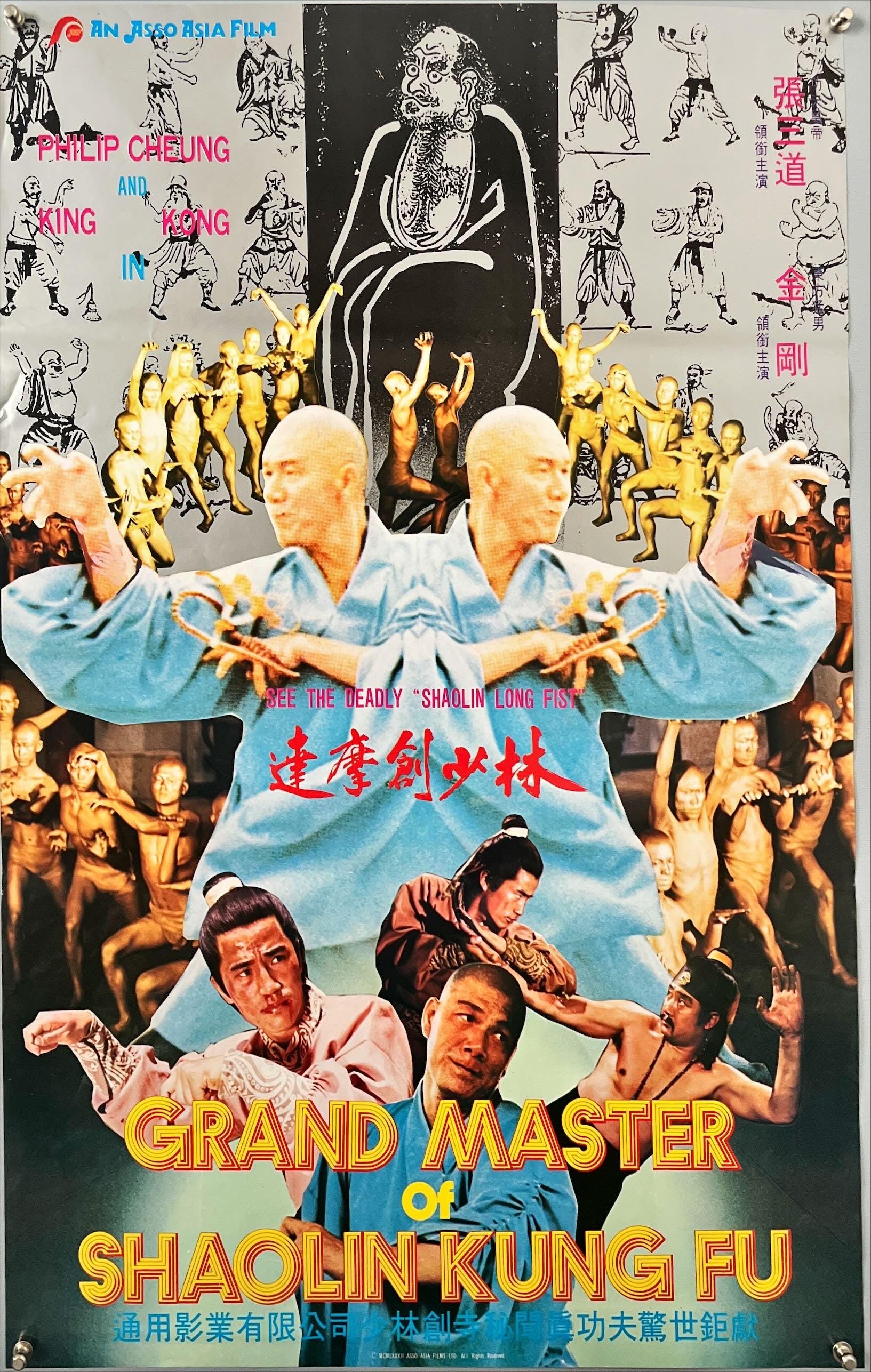 Fu Master Movie Kung Fu Hindi Film Bruce Lee Hindi Film Video Shop