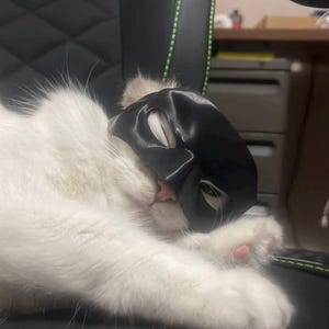 Bat Cat Mask | 3D Printed