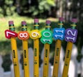 Numbered Pencil Toppers | Classroom Organization, Teacher Supplies, Reusable Labels | Includes Storage Bag