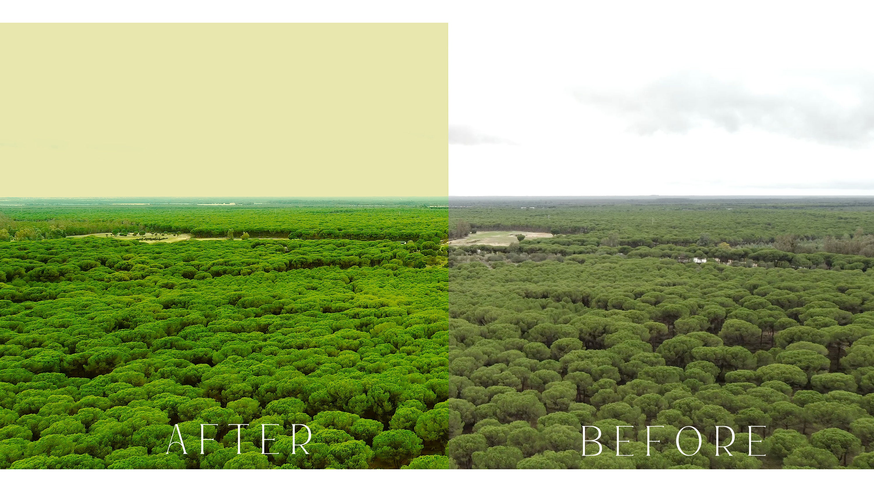 Professional Cinematic Dji Color Grading Video Filters Premiere Pro