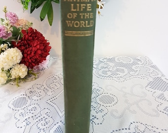 1934 Animal Life of the World: Antiquarian Book, Odhams Press London
