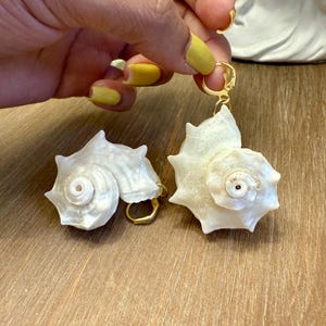 Real Conch Shell Hoop Earrings - Natural Mermaid Core Dangles - Large Gold Tone Coastal Boho Jewelry - Unique Summer Statement Earrings Gift