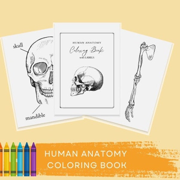 Human Anatomy Coloring book with Labels| digital download | Montessori Resources | homeschool resources