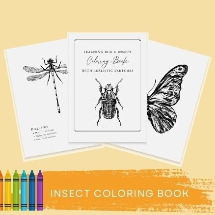 Birds Bugs and Botany Mini Coloring Book, Coloring Books for