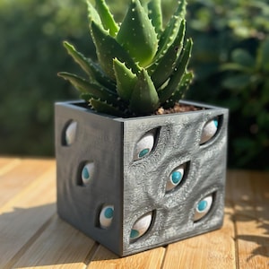 May include: A square, gray planter pot with a textured surface and multiple eye-shaped openings. The pot contains a green aloe vera plant. The eyes have white and blue details. The planter is a unique decorative item.