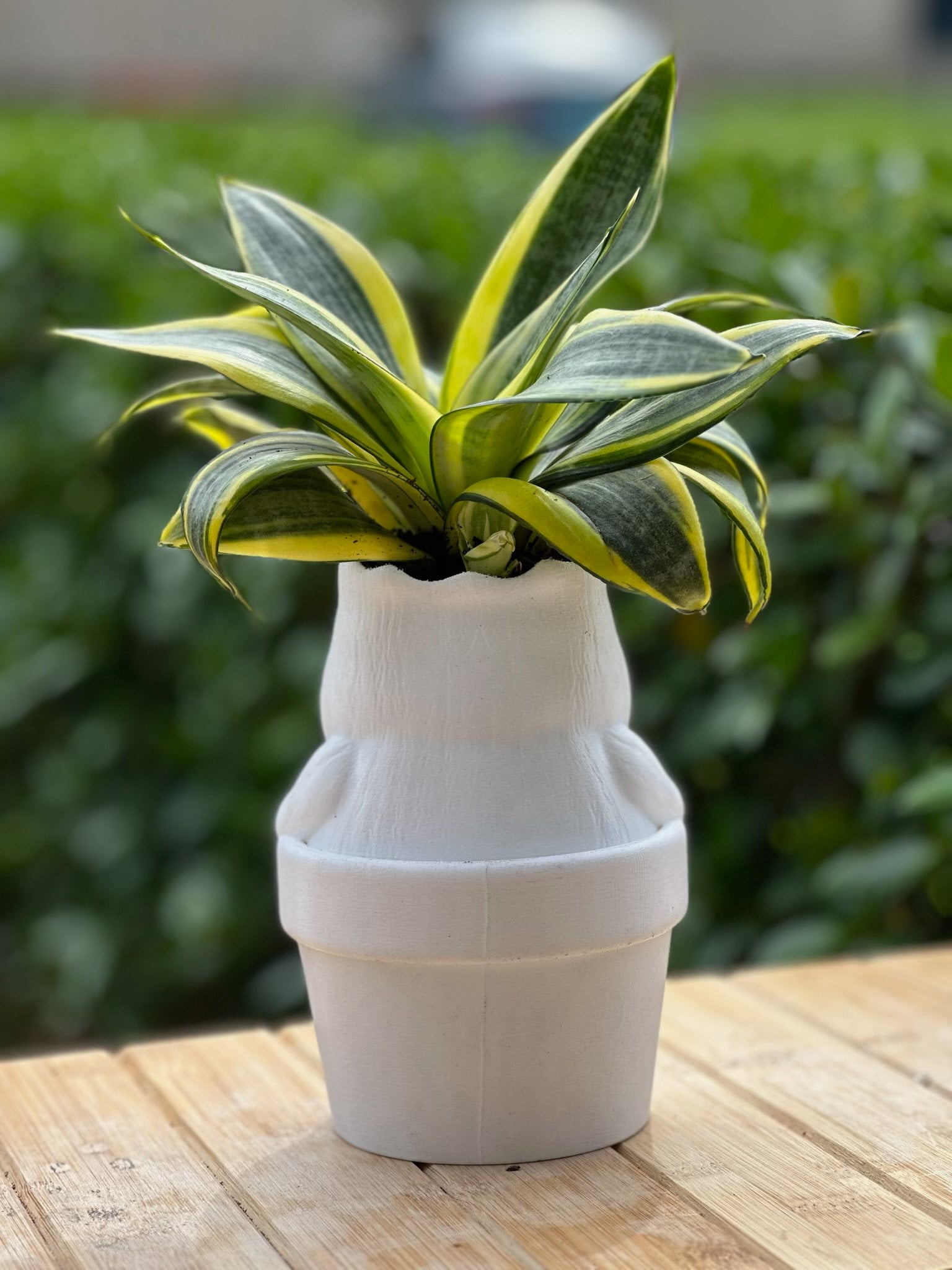 Mandrake 3D Printed Plant Pot Container - H Pot - Wizard Legacy