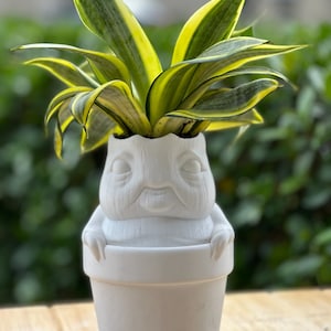 May include: A white ceramic planter shaped like a cartoon character with a plant growing out of its head. The plant has long, green and yellow striped leaves.
