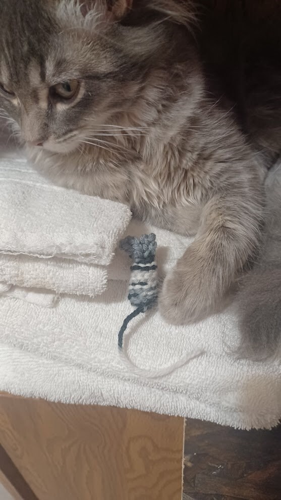 Catnip Mouse Toy Etsy