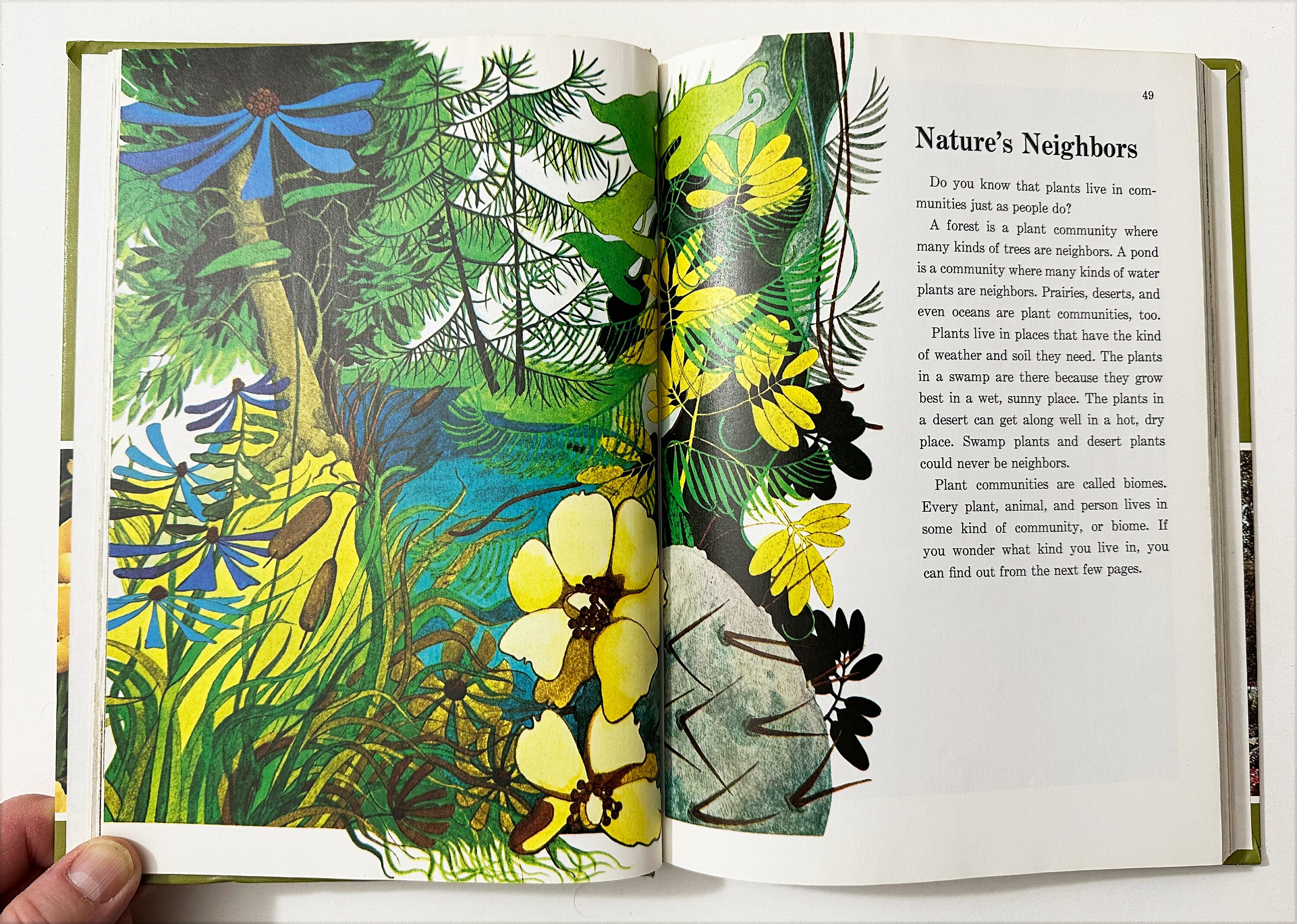 Childcraft Series 1982 Vintage Children's Books Choose Your