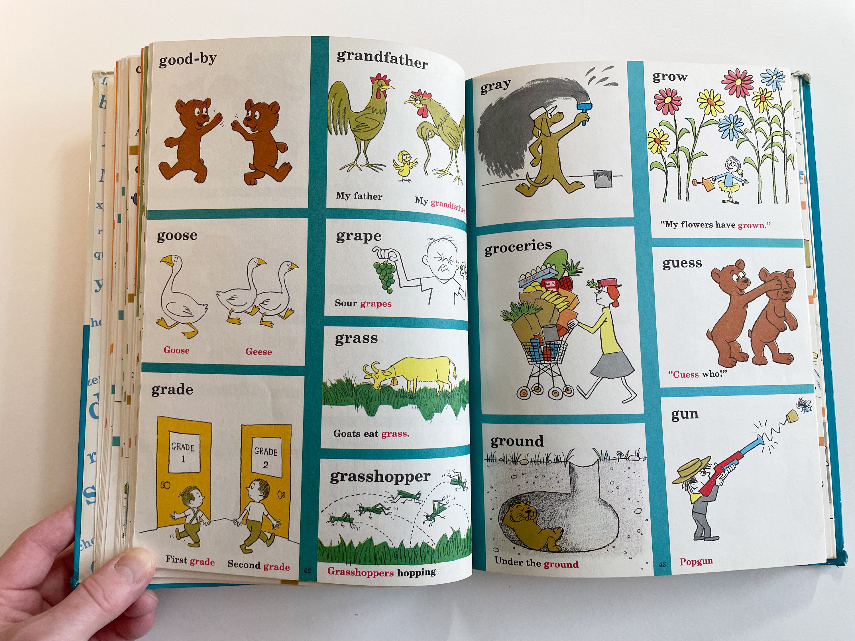 The Cat in the Hat Beginner Book Dictionary by the Cat Himself and P. D