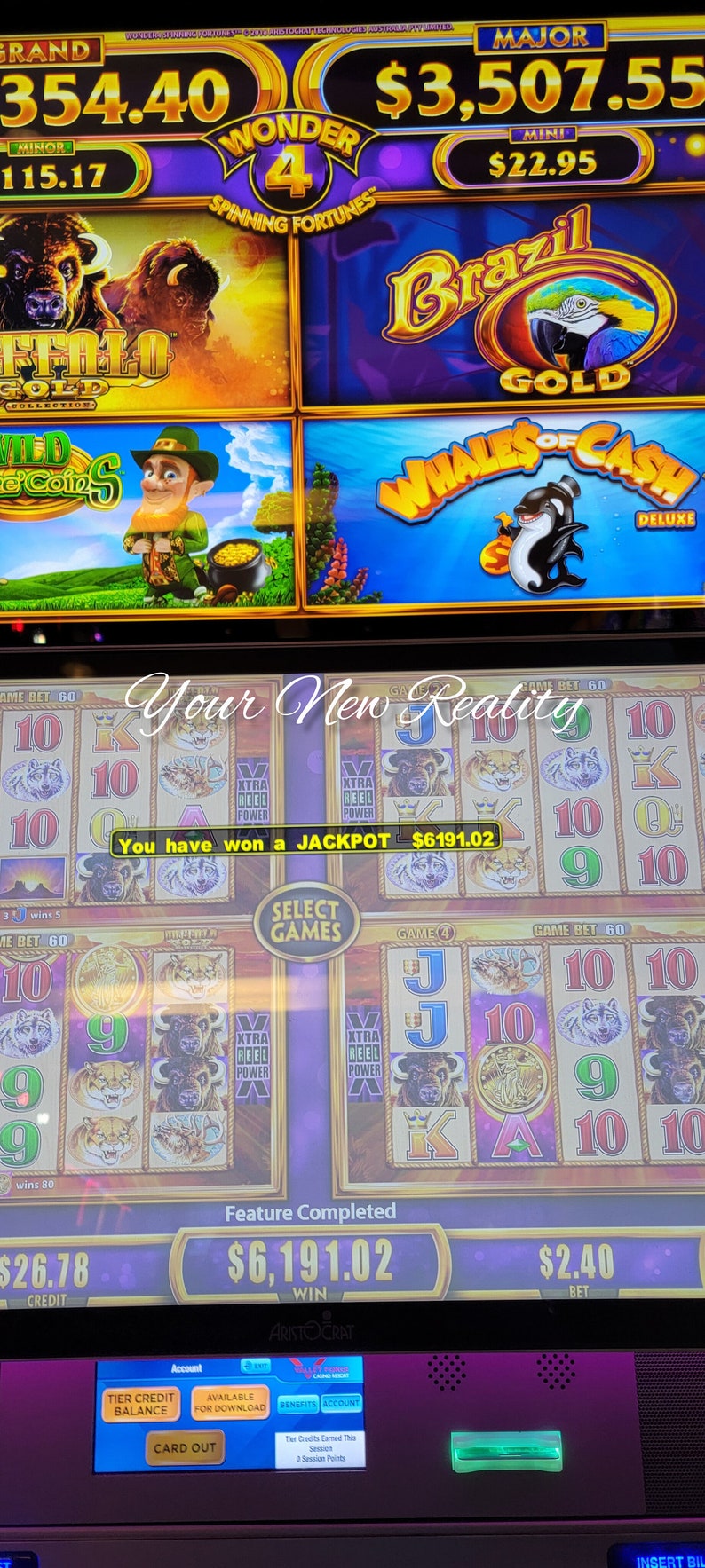 Get Huge Wins on Buffalo Slot Machines Subliminal Affirmations Audio Listen Once WAV & MP3 image 4