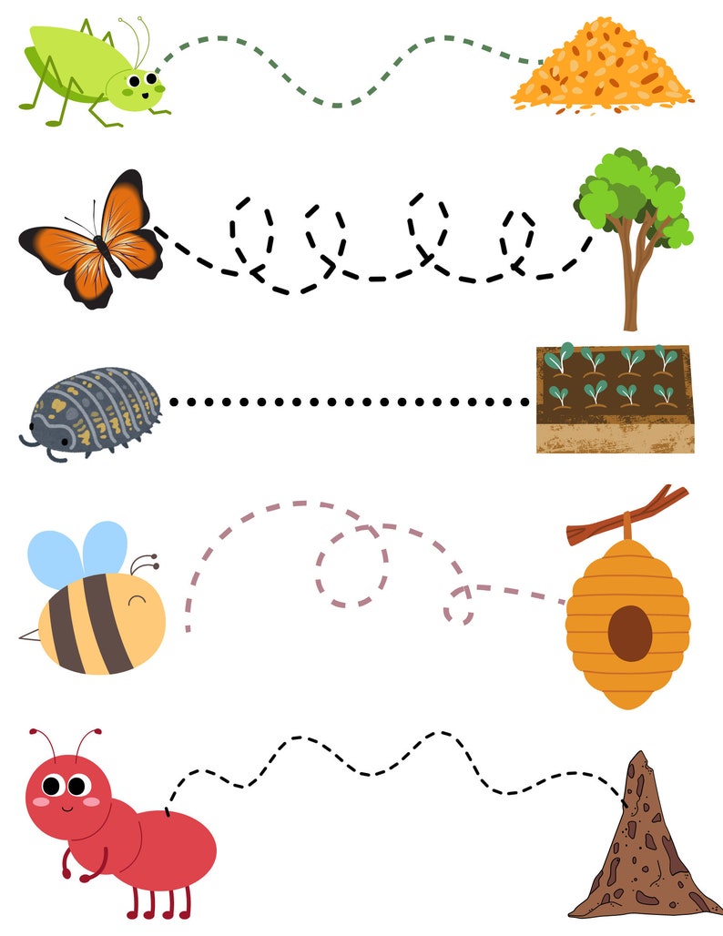 Bug Line Tracing Worksheet Etsy Bug Line Tracing Worksheet Etsy