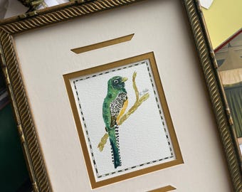 HAND DRAWN Watercolor  Vintage Framed Art “Black-Throated Trogon ”, Wall decor