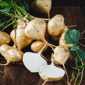 20 seed potato bean pachyrhizus erosus yam bean mexican potato seeds True Jicama image 2