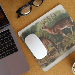 Deer -from the viviparous quadrupeds of North America (1845) by John Woodhouse Audubon.Digitally enhanced. Vintage. Mousepad.