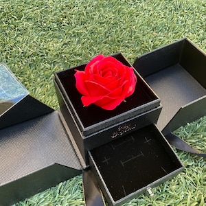 Konservierte Rose Schmuckdose
