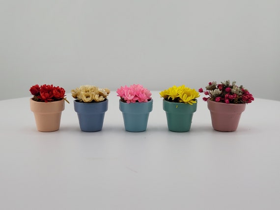 Vintage Miniature Flower Pot with Real Flowers