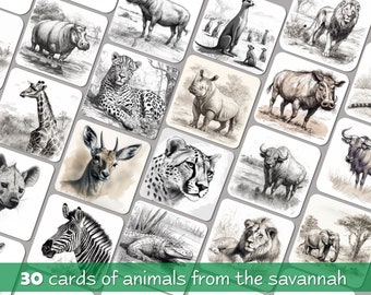 Savannah animals Matching and memory Cards, Montessori education