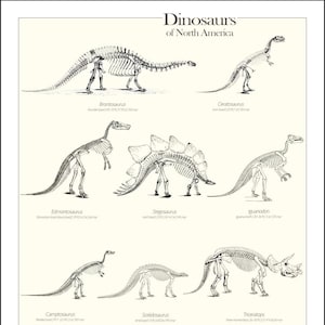 Dinossauros da América do Norte | Pôster | Carta Fóssil (Triceratops, Estegossauro, Brontossauro) | Digital l DIN A1 (23,4 x 33,1 polegadas a 300ppi)