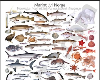 Marine life in Norway