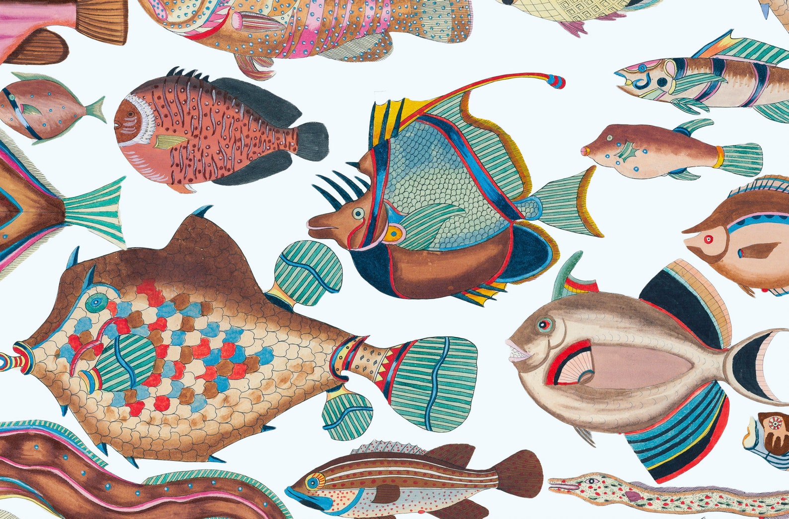 All The Fantastic Fish Poster Etsy all-the-fantastic-fish-poster-etsy