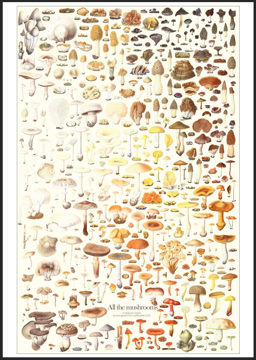 キノコだらけ | ポスター | A1 - Etsy 日本