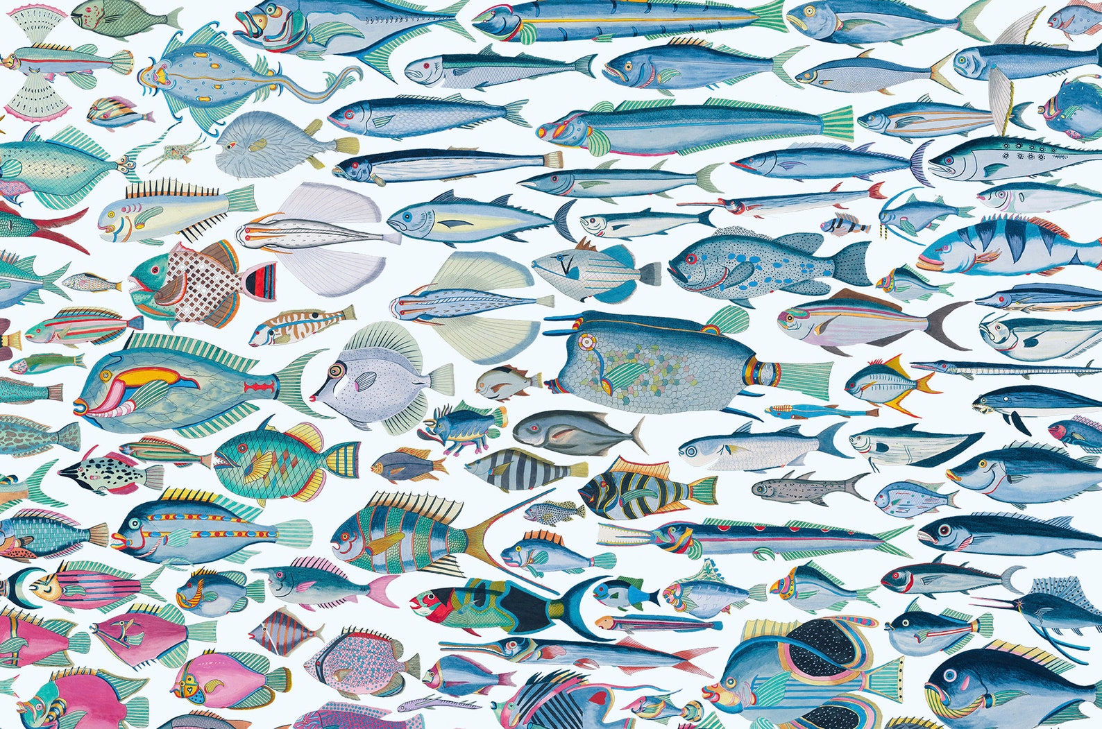 All The Fantastic Fish Poster Etsy all-the-fantastic-fish-poster-etsy