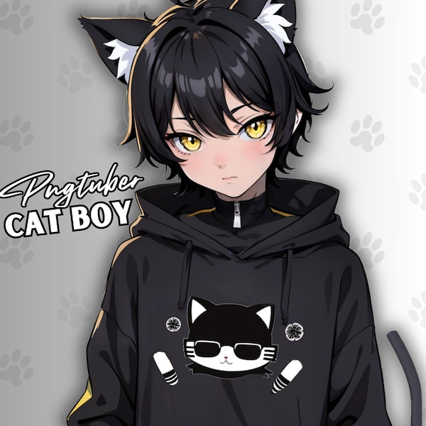 Hoodie Cat Boy PNGTUBER | Premade Male Model with Dark Hair for Vtubers & Streamers | Cute Mysterious Png Tuber