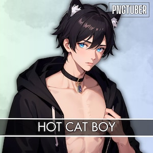 HOT CAT boy PNGTUBER| Chill Open Hoodie | Dark Hair male| Ready To Use|VTuber, Premade 2D Asset| Veadotube|4 Expressions|16 Png|Pet Pngtuber